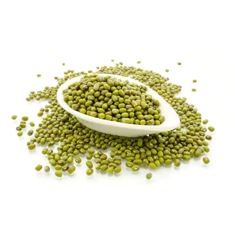 High-Quality Mung Bean Protein in both Conventional and Organic Versions Products, Product