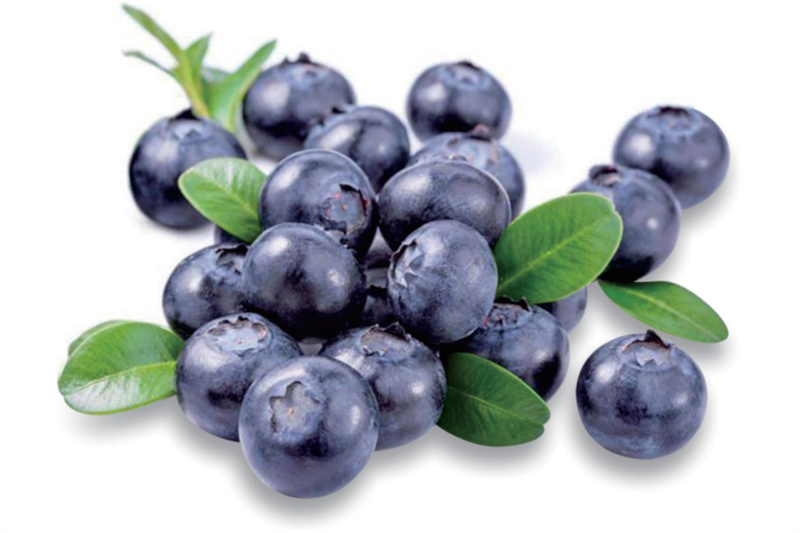 100% Natural 1-25% Anthocyanidins from European Bi02