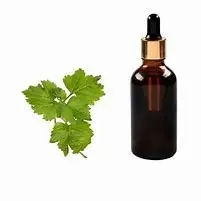 Wholesale Pharmaceutical Grade Patchouli Oil from Manufacturer Suppliers, Service