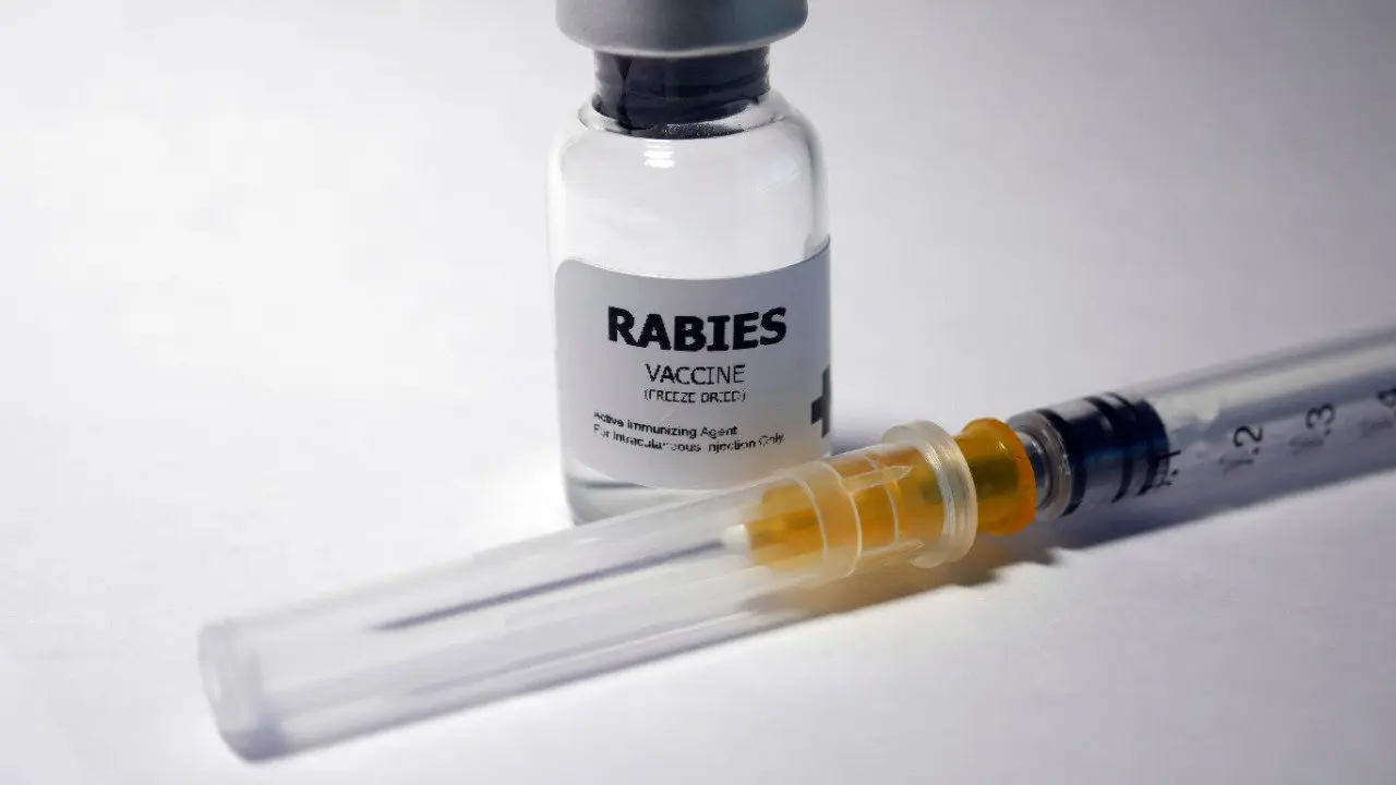 Wholesale Freeze-dried Rabies Vaccine For Human Use(Vero cell) classic choice of safe immunization Supplier, Products
