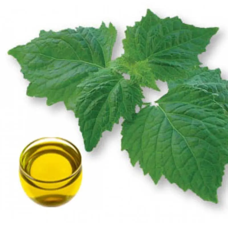 Wholesale Pharmaceutical Grade Patchouli Oil from Manufacturer Suppliers, Service