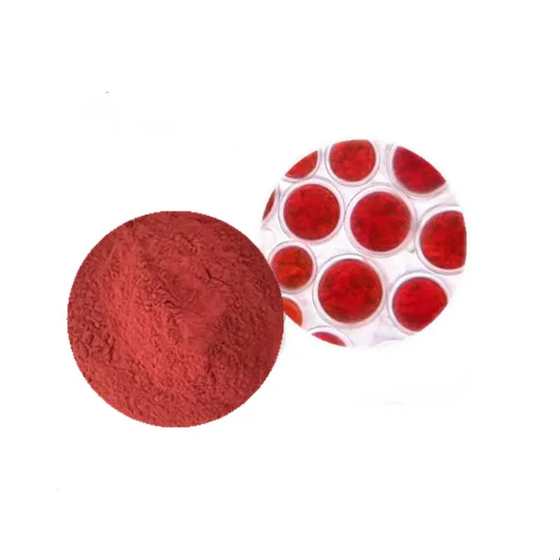 High-Quality Natural Astaxanthin through Fermentation with Higher Purity Service, Product