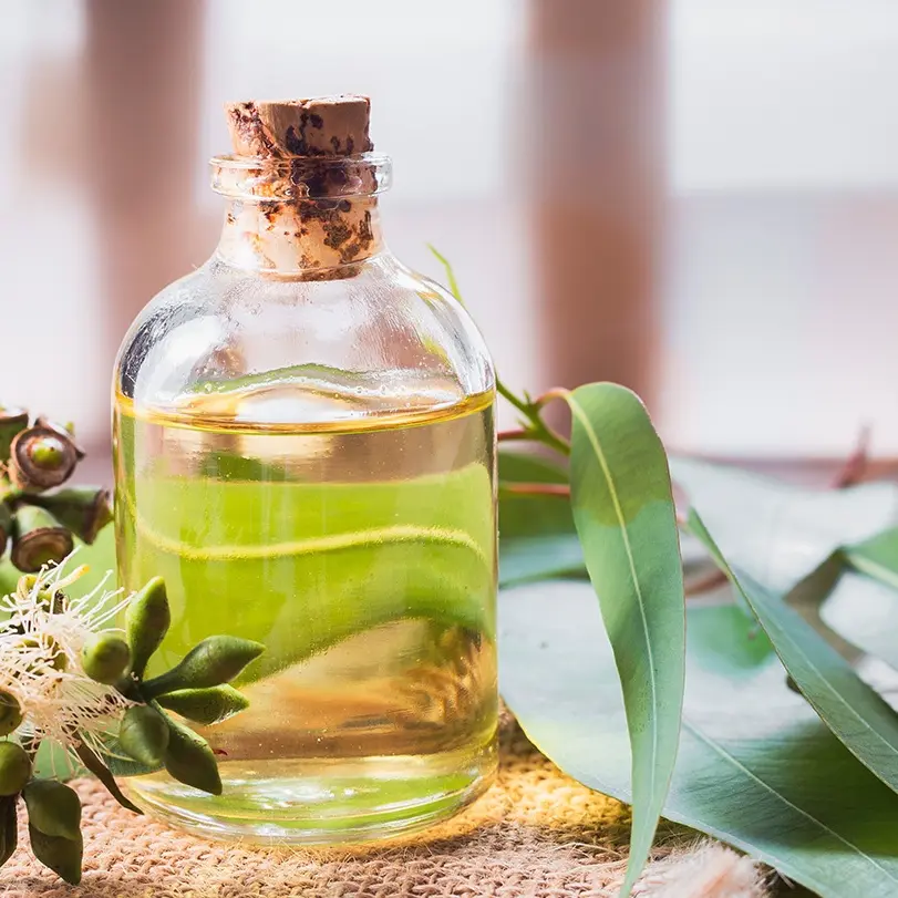 Best Pharmaceutical Grade Eucalyptus Oil from Manufacturer Supplier, Suppliers
