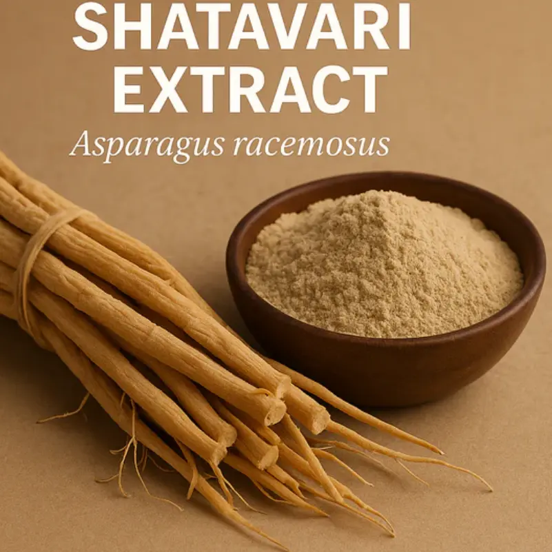 Best 100% Natural Shatavari Extract for Women Health Supplier, Suppliers