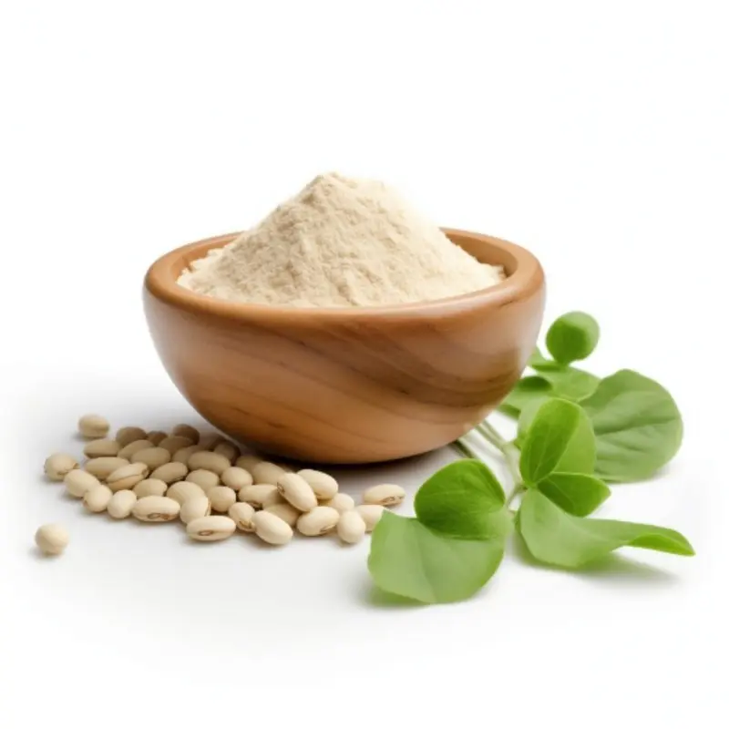 Wholesale Fava Bean Protein in both Conventional and Organic Versions Service, Product