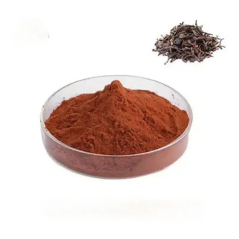 Wholesale Instant Black Tea Extract for Beverage & Supplement Service, Products