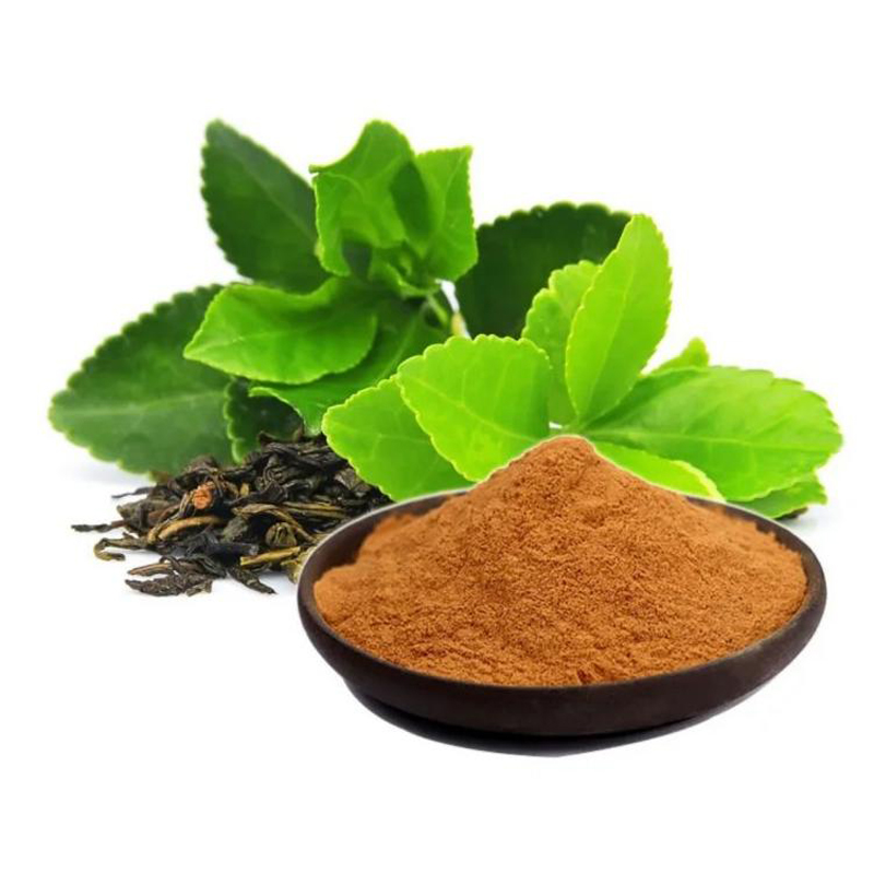 Green Tea Extract Powder