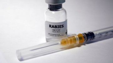 Freeze-dried Rabies Vaccine For Human Use(Vero cell) classic choice of safe immunization