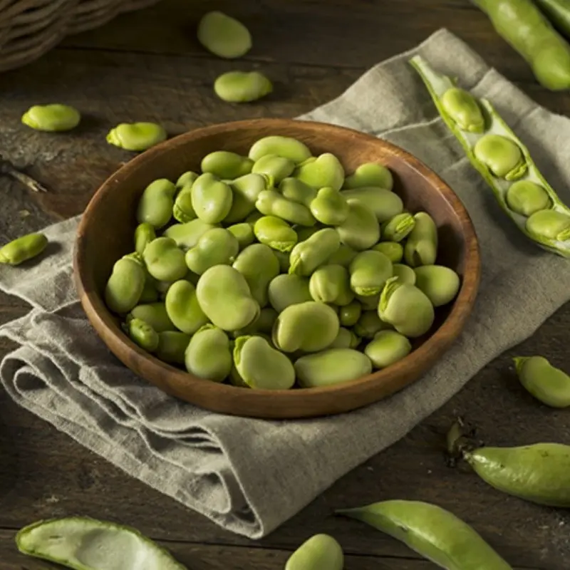 Wholesale Fava Bean Protein in both Conventional and Organic Versions Service, Product