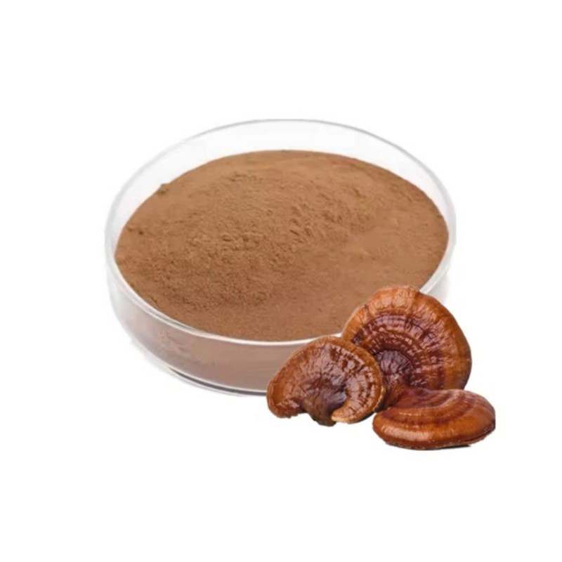 Ganoderma Lucidum Reishi Mushroom Extract Powder