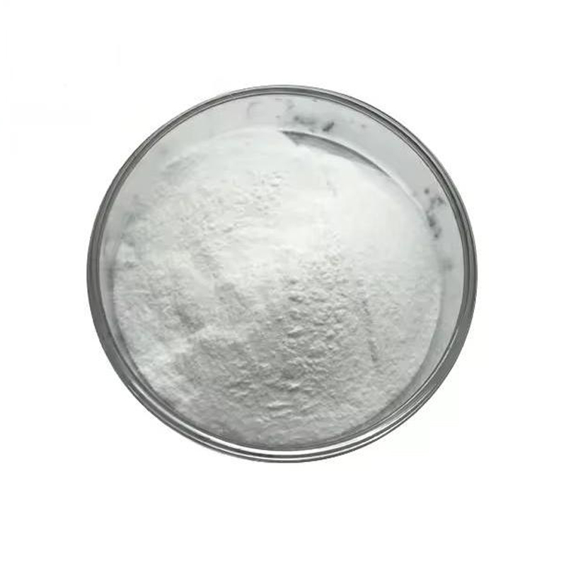 Lactobacillus-Helveticus-Powder-with-High-Quality