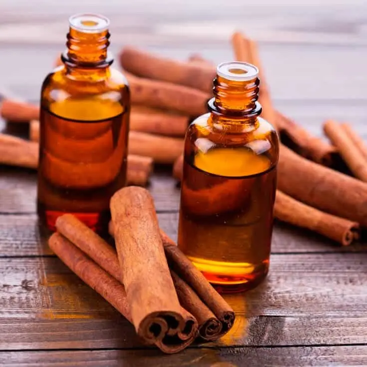High-Quality Pharmaceutical Grade Cinnamon Oil from Manufacturer Suppliers, Service