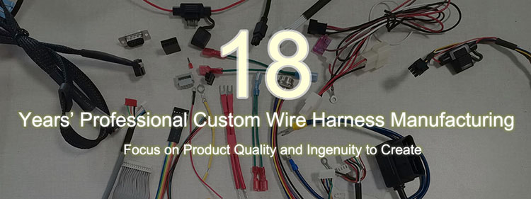 Customization Services