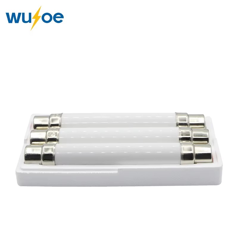 High Breaking Capacity XRNT 10kV Quartz Sand Filled Fuse Fiberglass Tube Cartridge Type HV Fuse