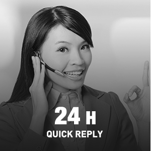 Customer Service Team