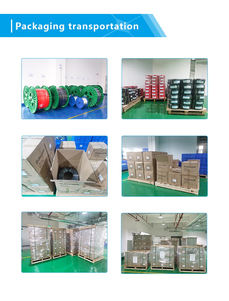 Export Standards Product Packaging