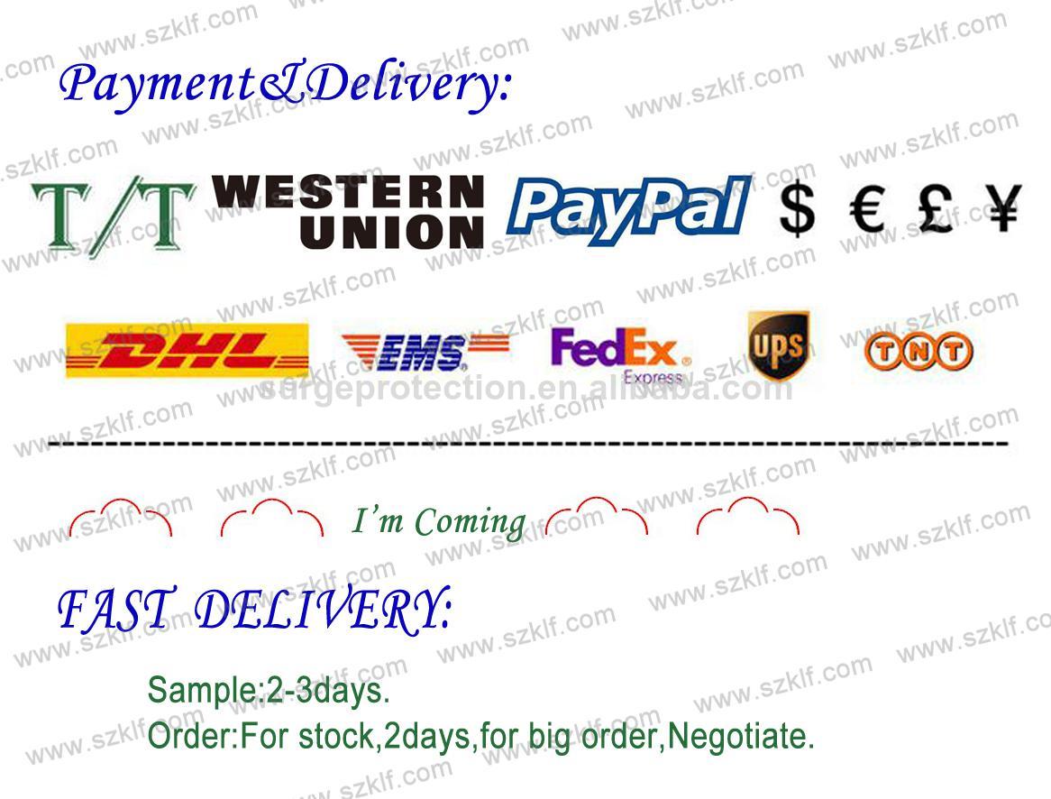 Payment and Delivery Channels
