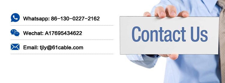 Customer Support and Delivery Logistics