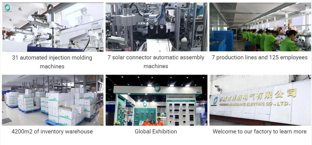 Production Line and Inspection