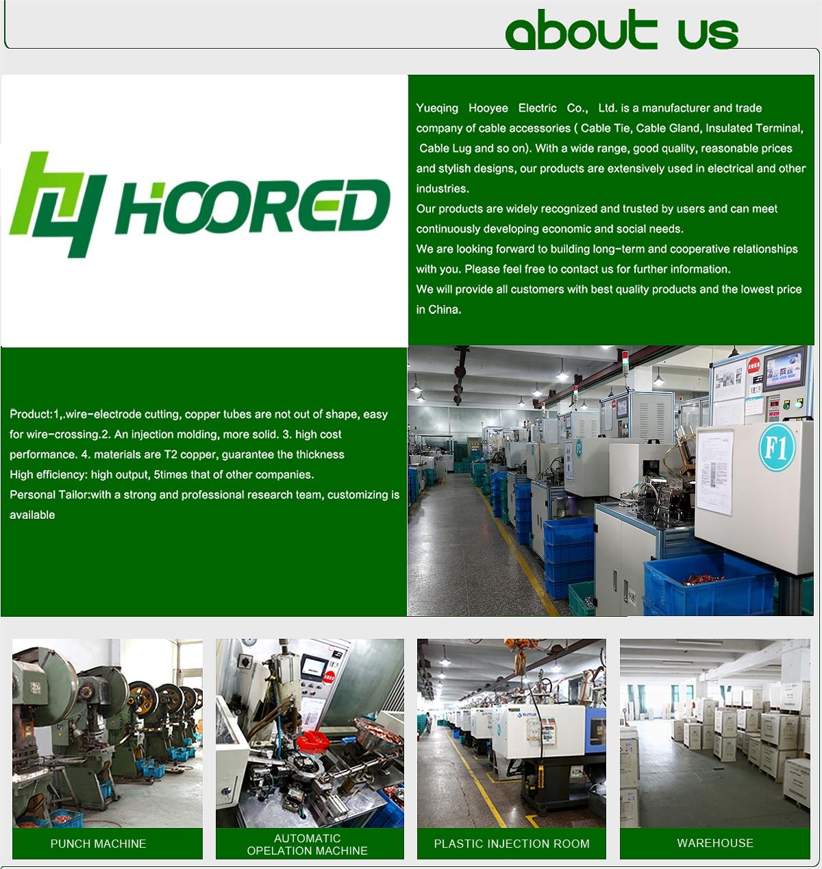 Company Profile Details