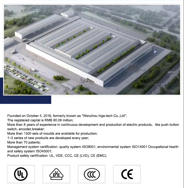 Company Showcase 1