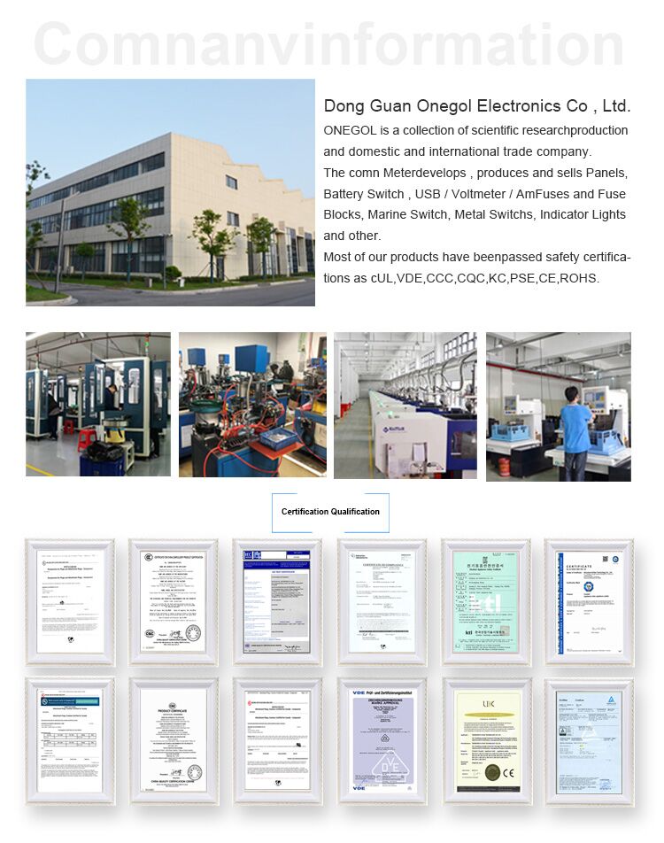 Company Showcase