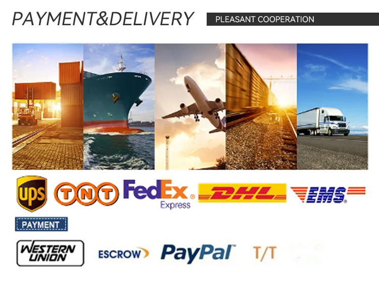 Shipping and Logistics Options