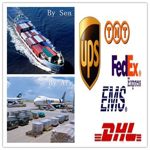 Logistics, Packaging and Shipping Operations