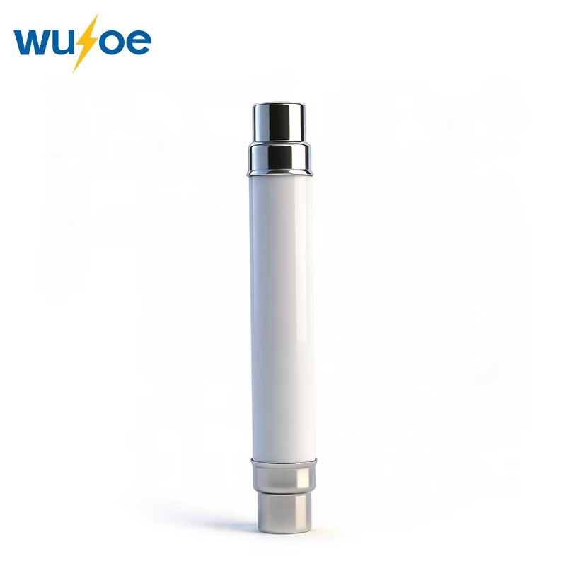 High Breaking Capacity XRNT 10kV Quartz Sand Filled Fuse Fiberglass Tube Cartridge Type HV Fuse