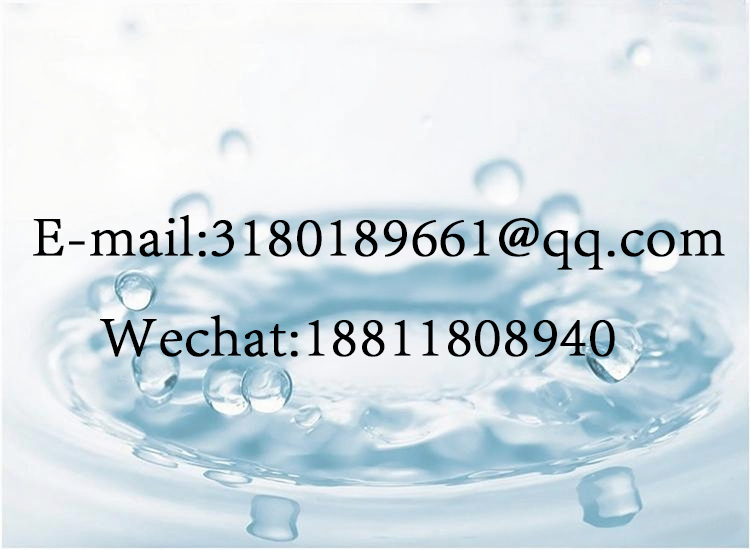 Support Network