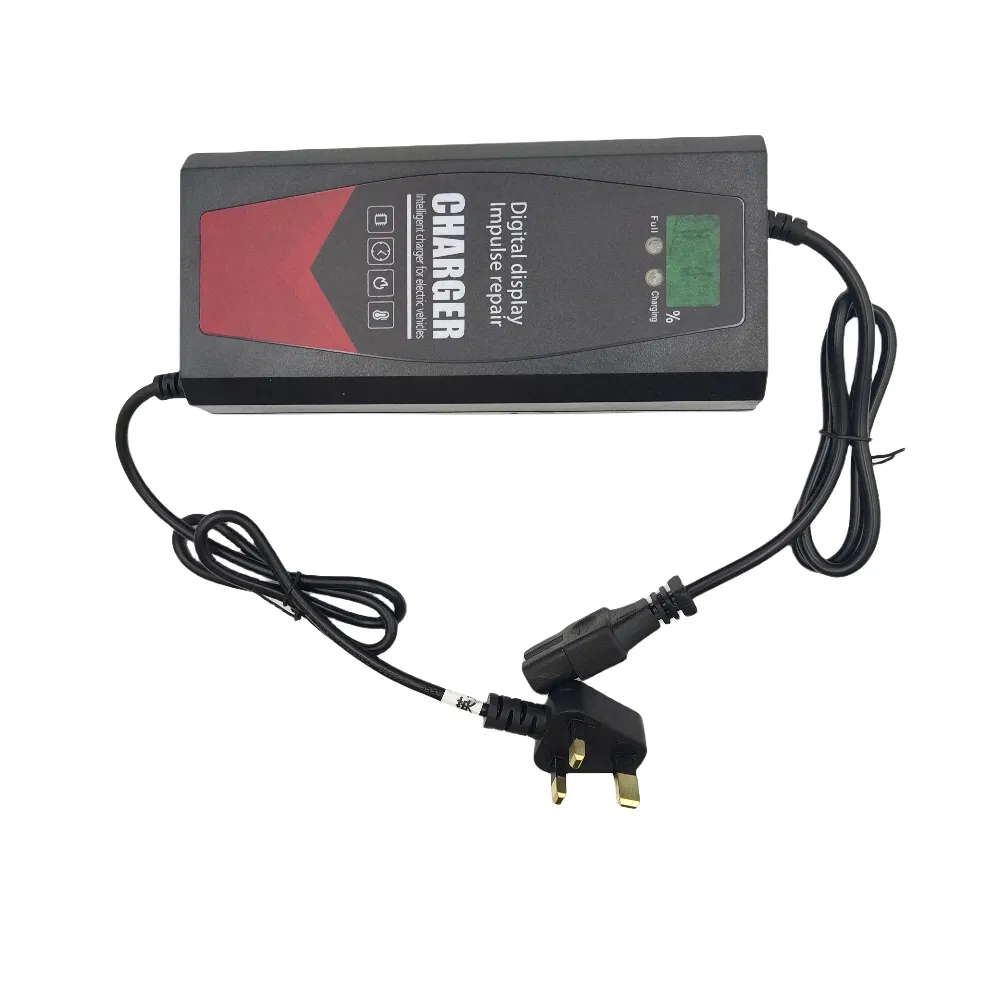 Factory Customized/ 60V5a 60V45ah /E-Bike Lead-Acid E-Bike Charger /Li-ion Battery Charger