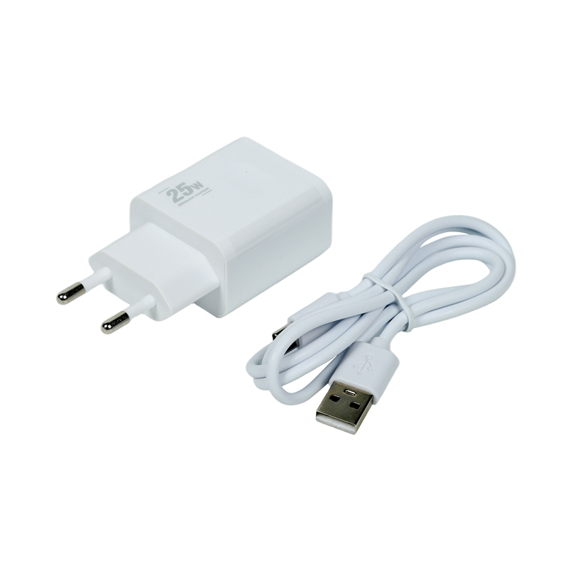 Compact 25W PPS Wall Charger with USB-C Port Input 100-240V Global Travel Voltage Adapter