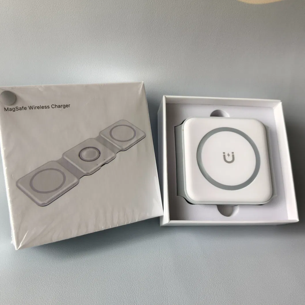 MagSafe Charger View 6