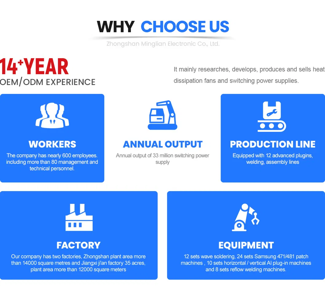 Our Advantages Infographic