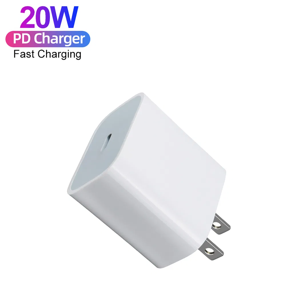 Charger View 9