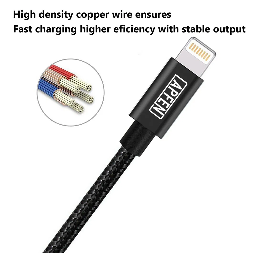 Fast Charger Cable 3