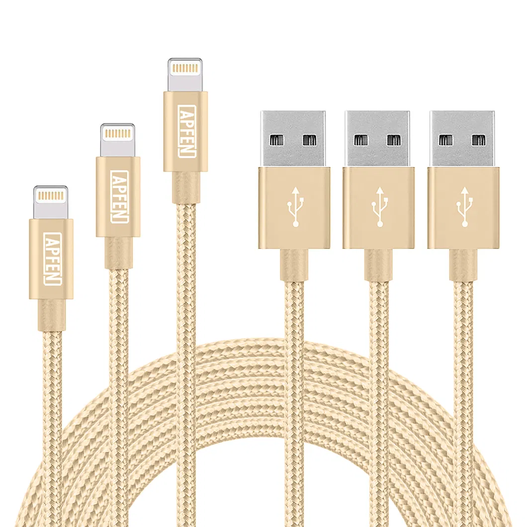 Fast Charger Cable 6