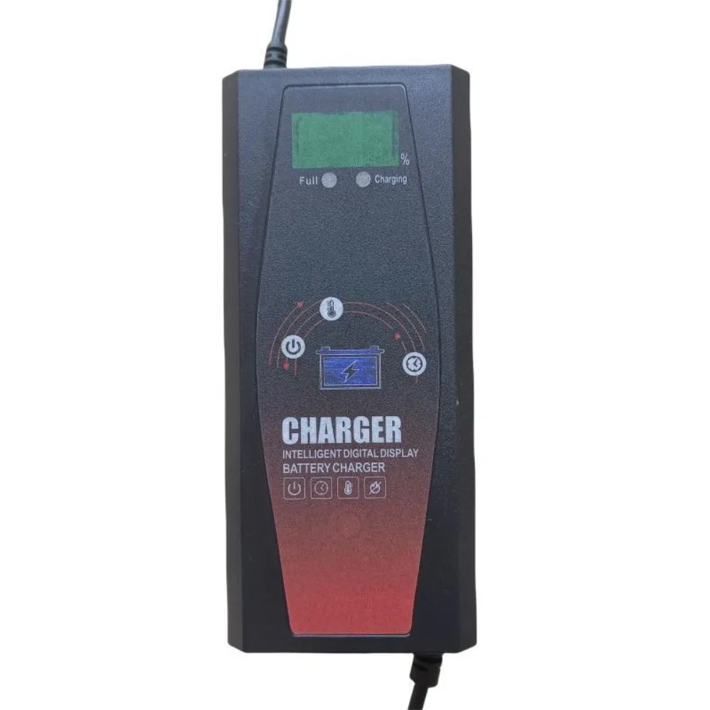 Direct Selling Popular/ 48V 45ah /E-Bike Automatic Universal/Lead Acid Lithium /Battery Charger