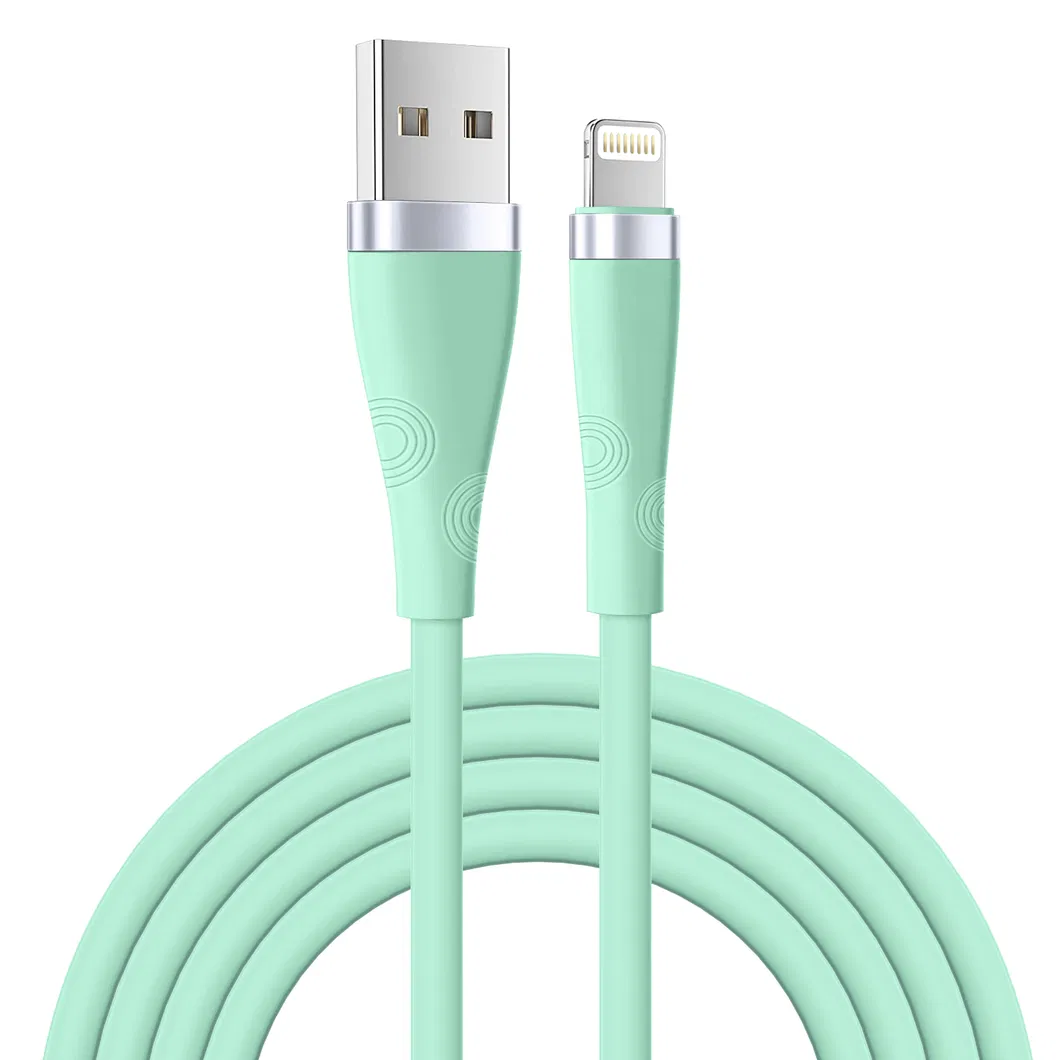 iPhone Charging Cable 6