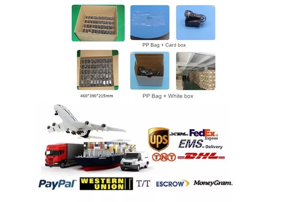 Shipping and Logistics