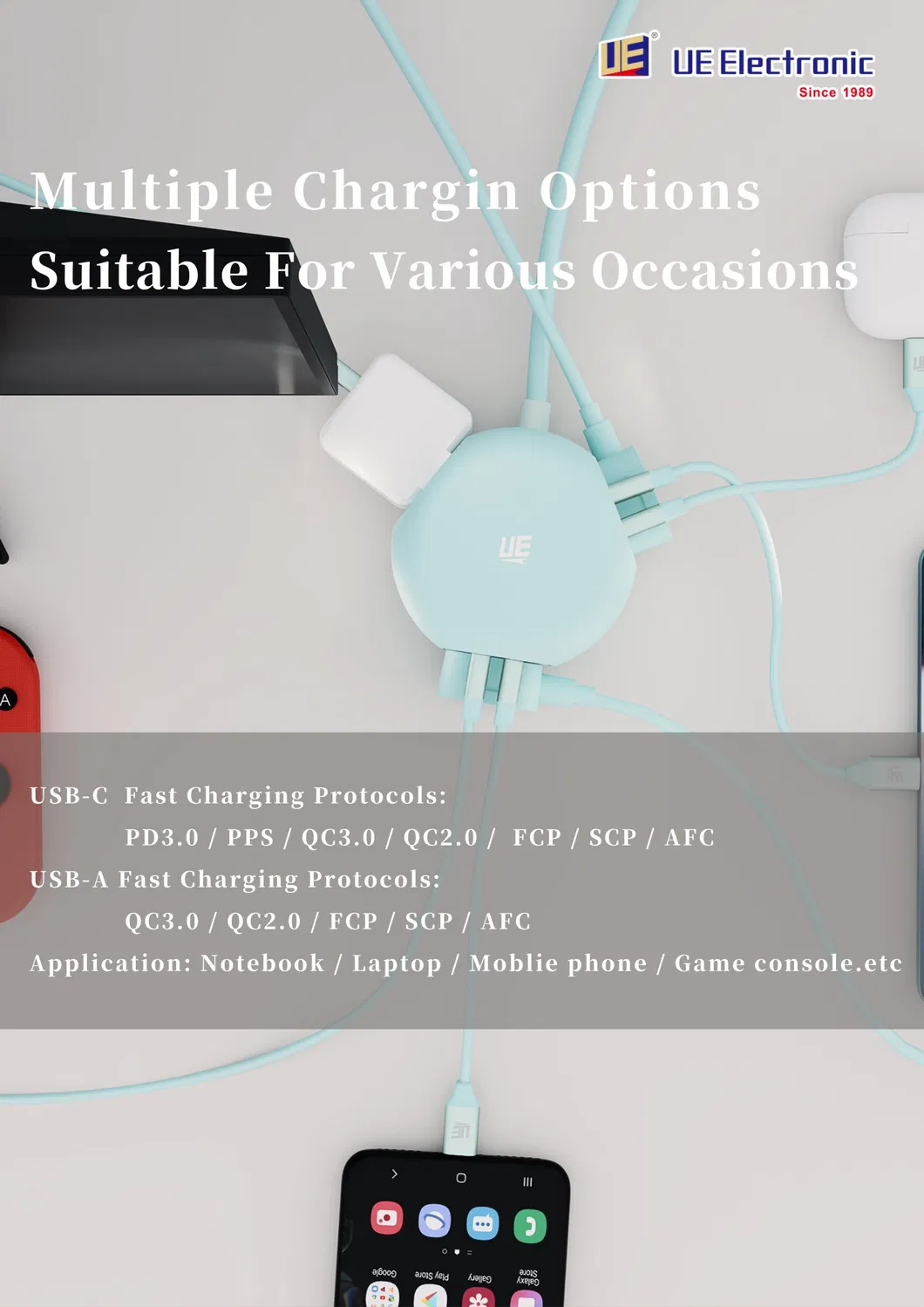 Fast Charger Description 5