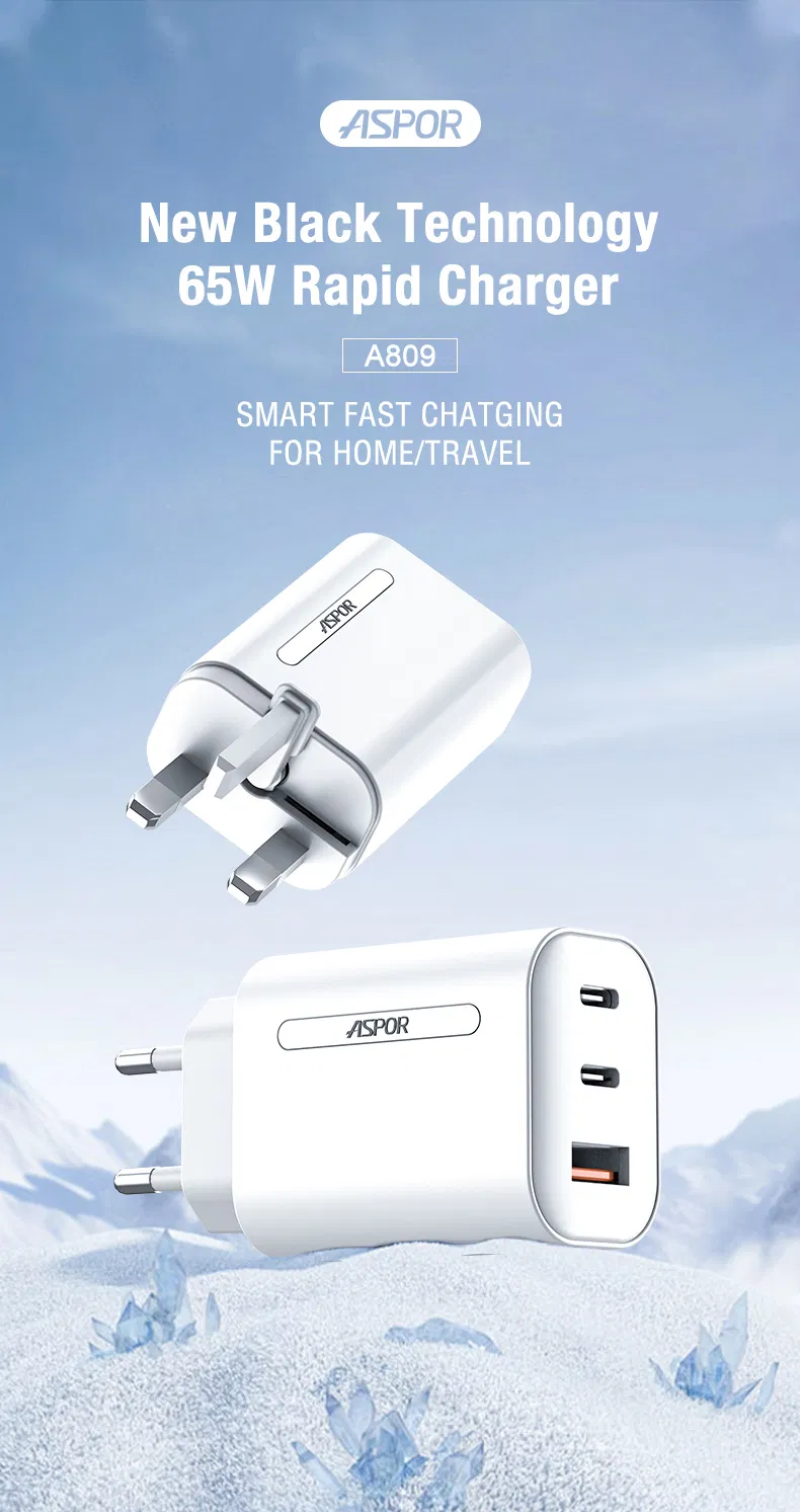 QC3.0 65W Laptop Charger 16/17 PRO Mobile Phone Fast Charging Phone Charger