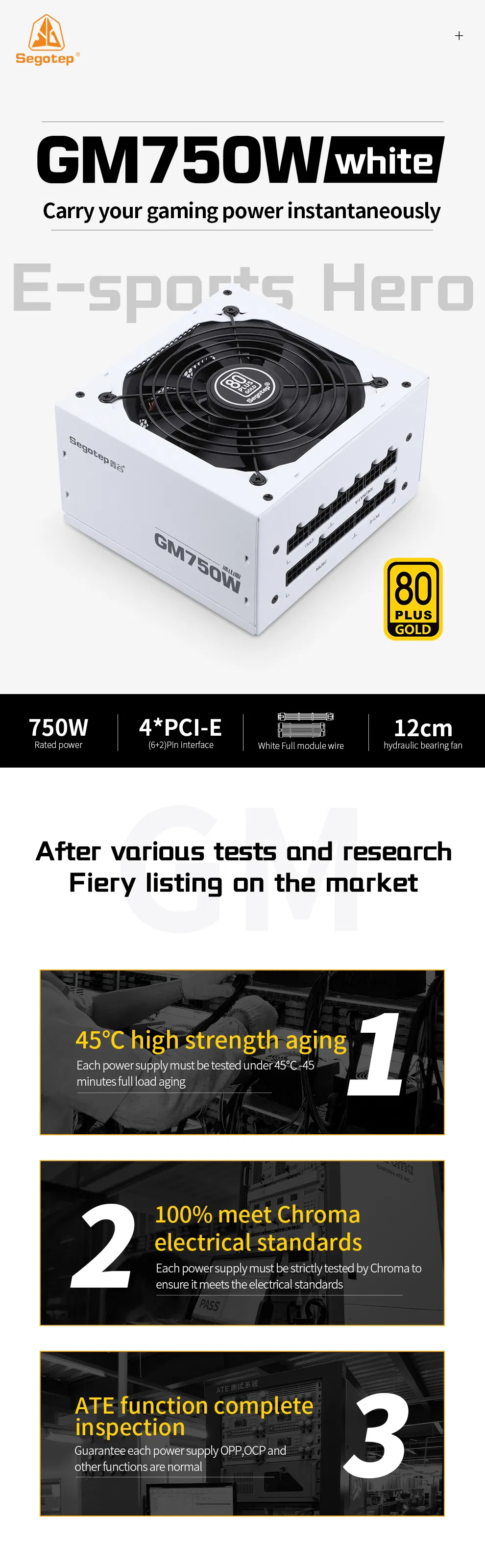 Power Supply Details 1