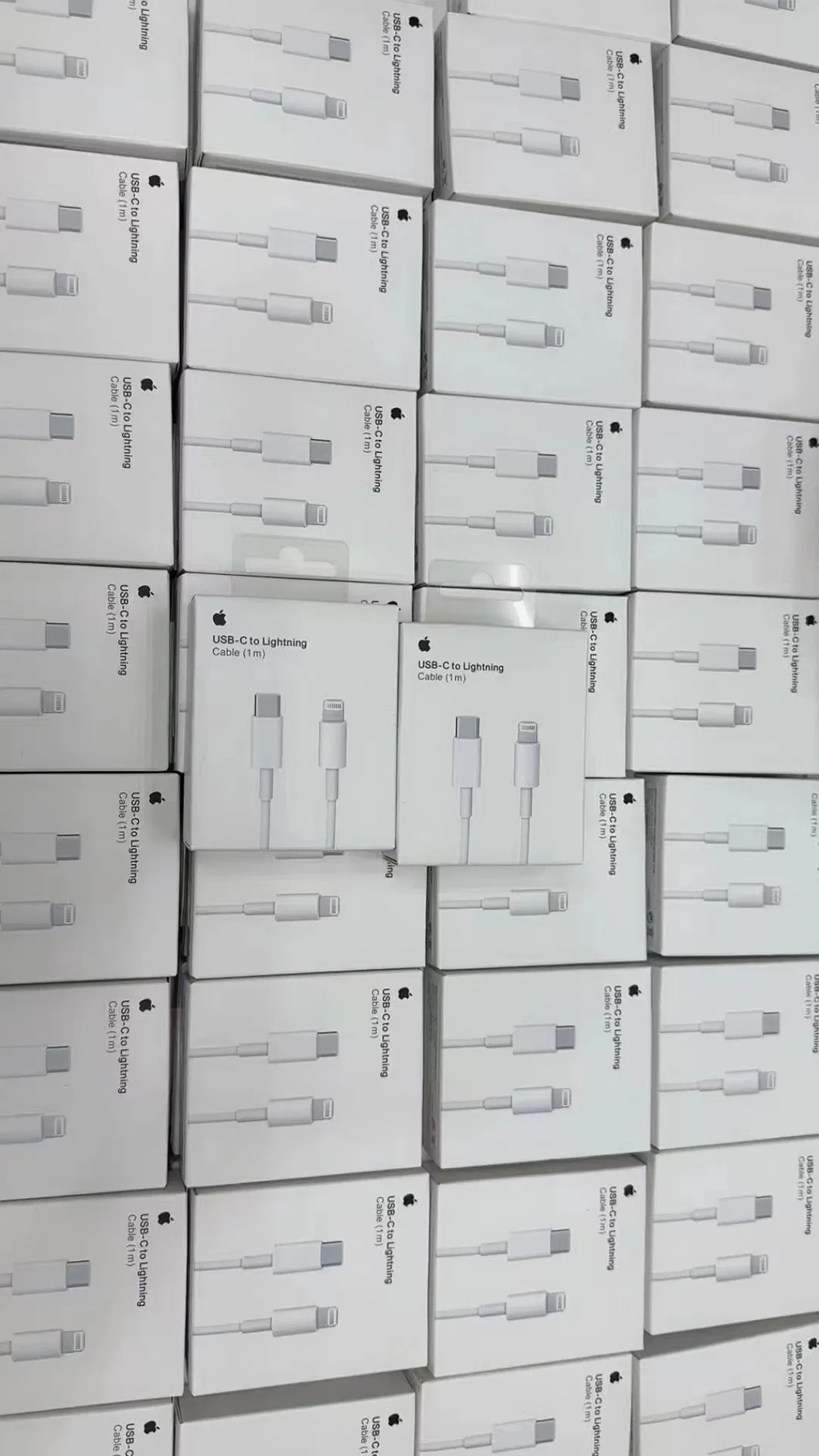 Fast Charging Detail