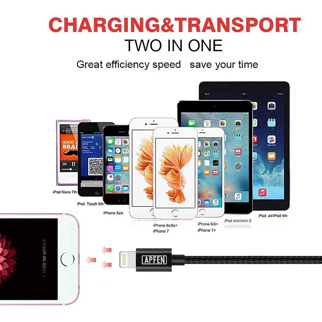 Fast Charger Cable 6