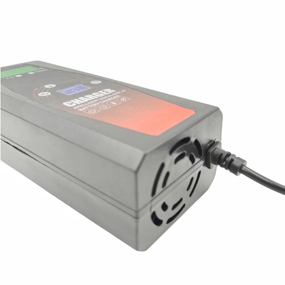 Direct Selling Popular/ 48V 45ah /E-Bike Automatic Universal/Lead Acid Lithium /Battery Charger