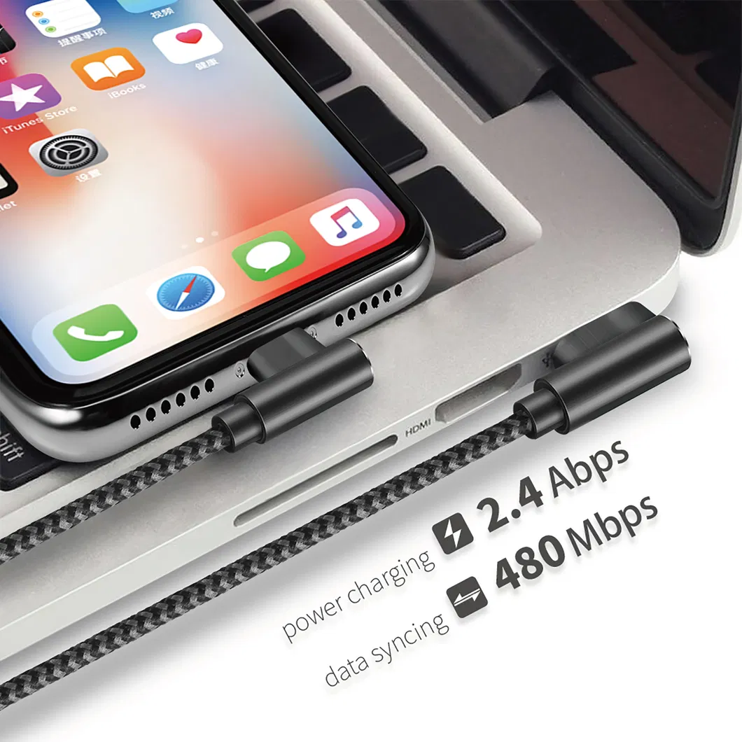 Lightning Cable Detail 4