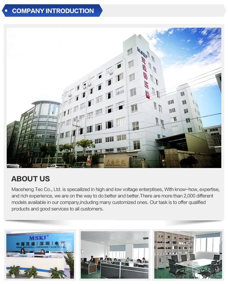 Switching Mode Power Supply