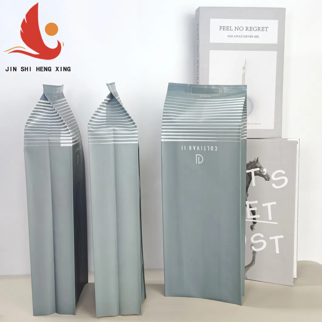 Bolsa de almacenamiento de acordeón gris versátil con válvula de aire integrada