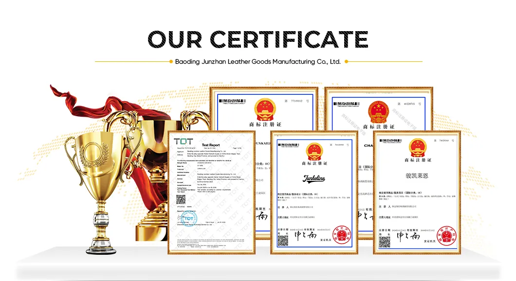Certificado 1